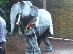 Colonel Hathi DLP