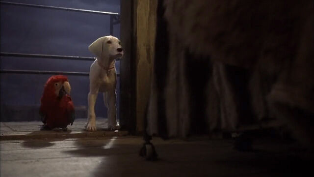 File:102-dalmatians-disneyscreencaps com-8688.jpg