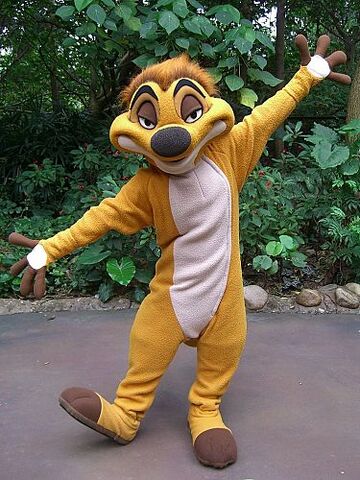 File:Timon HKDL.jpg