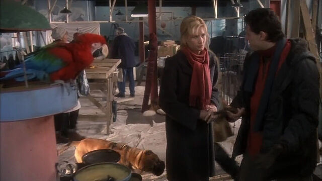 File:102-dalmatians-disneyscreencaps com-2043.jpg