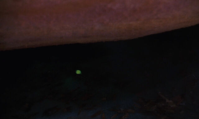 File:James-giant-peach-disneyscreencaps com-2149.jpg