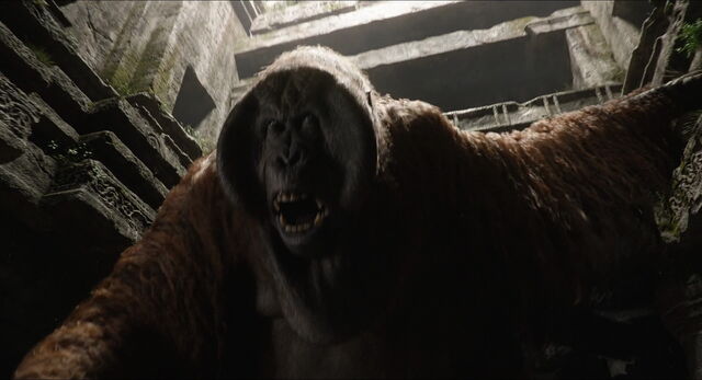 File:Jungle-book-2016-disneyscreencaps.com-8644.jpg