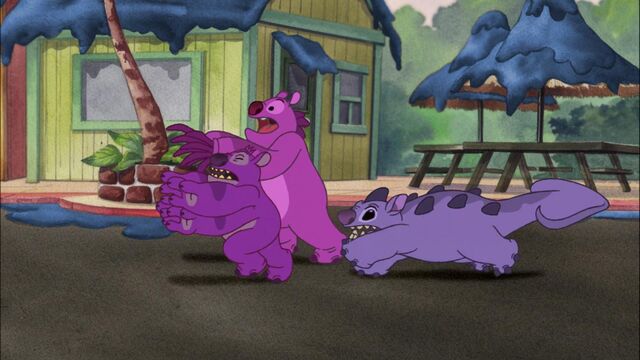 File:ScreenCapture 24.02.13 16-58-21.jpg