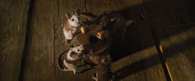 File:Cinderell-2015-disneyscreencaps.com-1979.jpg