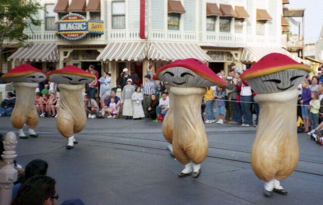 File:Mushrooms DLP.jpg