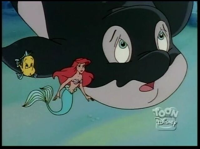 File:Whale88.jpg