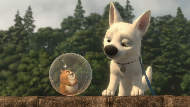 File:5387894832 694751f049 b.jpg.jpeg
