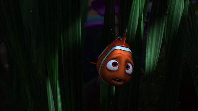File:Finding-nemo-disneyscreencaps.com-2860.jpg