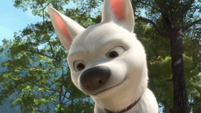 File:Bolt-disneyscreencaps.com-4730.jpg