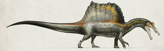 File:Spinosaurus (2).png