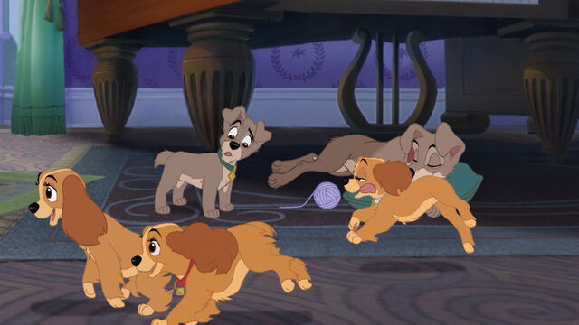 File:Lady-tramp-2-disneyscreencaps.com-252.jpg