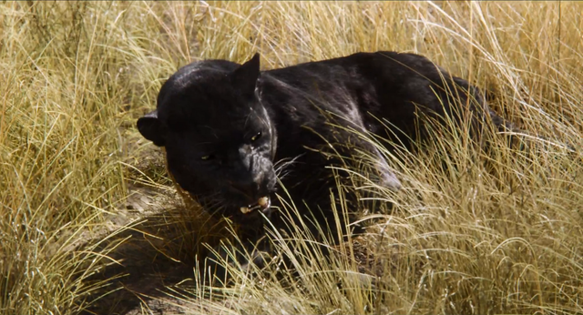 File:Jungle Book 2016 39.png