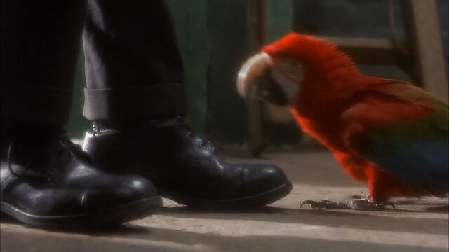 File:102-dalmatians-disneyscreencaps com-1077.jpg