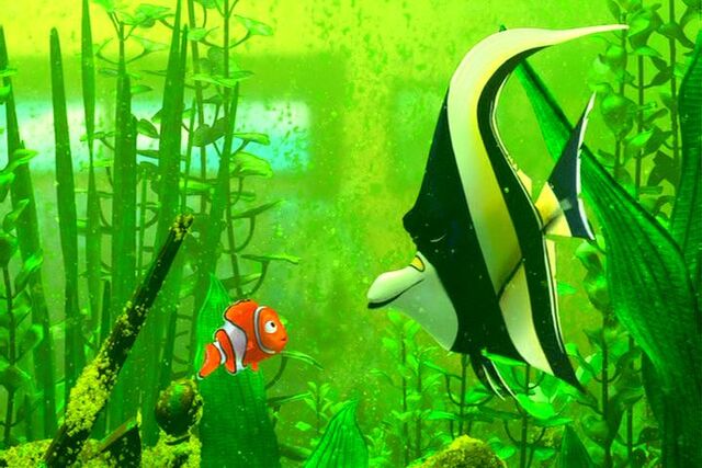 File:Findingnemo0744.jpg