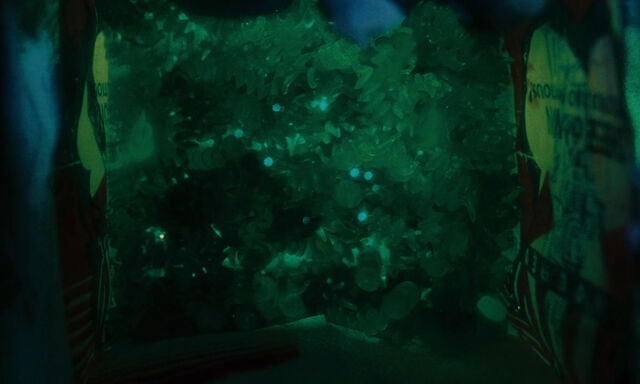 File:James-giant-peach-disneyscreencaps com-1266.jpg