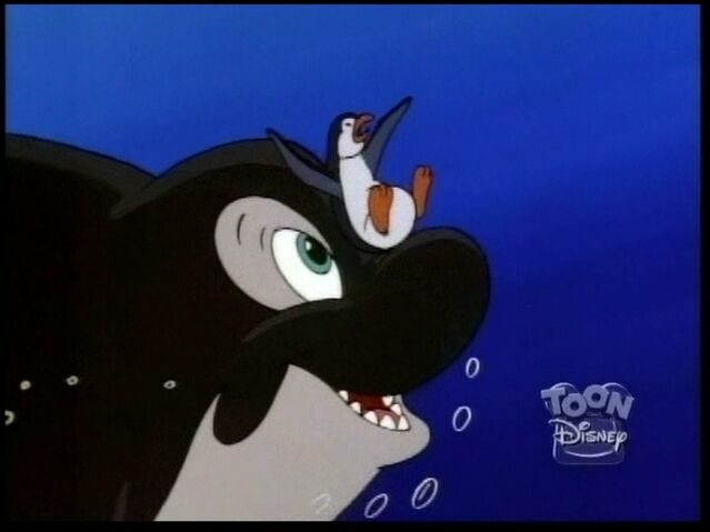 File:Savethewhale188.jpg