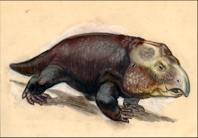 File:Hyperodapedodon-sketch.png
