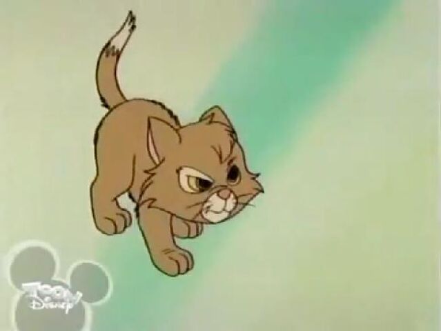 File:Spunky30.jpg