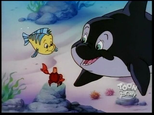 File:Whale98.jpg