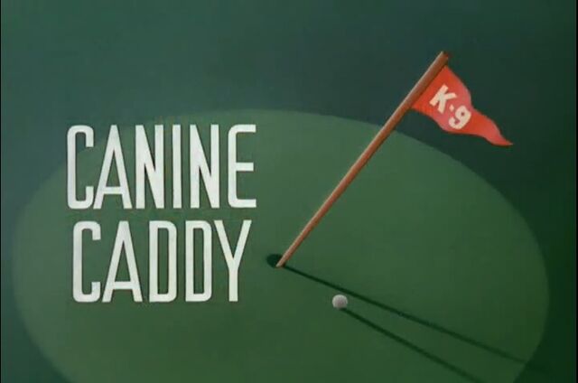 File:CanineCaddyTitleCard.jpg
