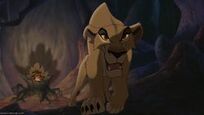 Zira 2.jpg