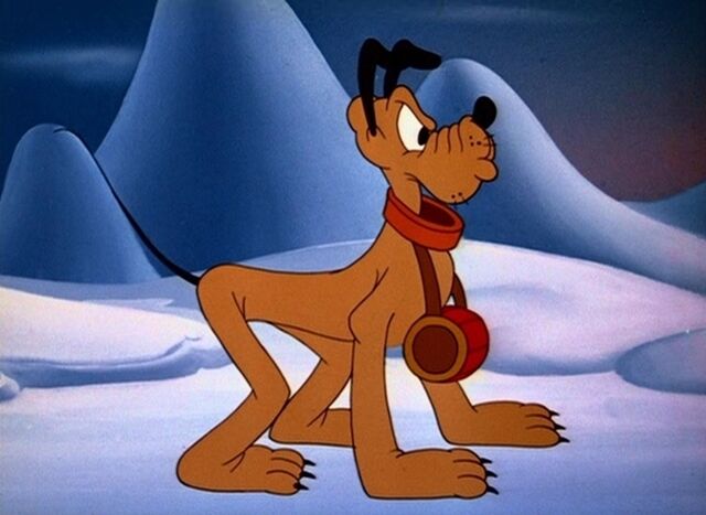 File:Rescue dog 6large.jpg
