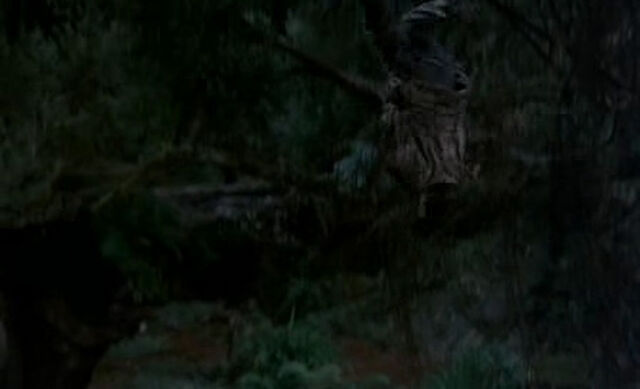 File:Petes-dragon-disneyscreencaps.com-453.jpg