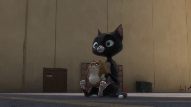 File:Vlcsnap-2015-08-23-17h49m34s178.png