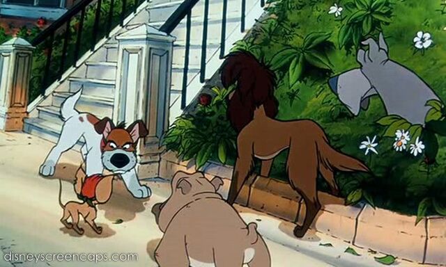File:Oliver-disneyscreencaps.com-4738.jpg
