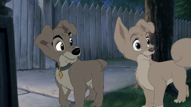 File:Lady-tramp-2-disneyscreencaps.com-4814.jpg