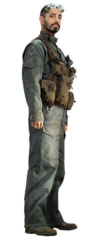 File:Bodhi Rook.jpg