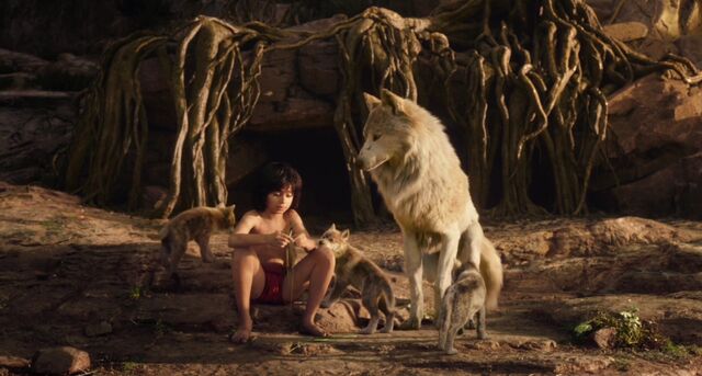 File:Jungle Book 2016 108.jpeg