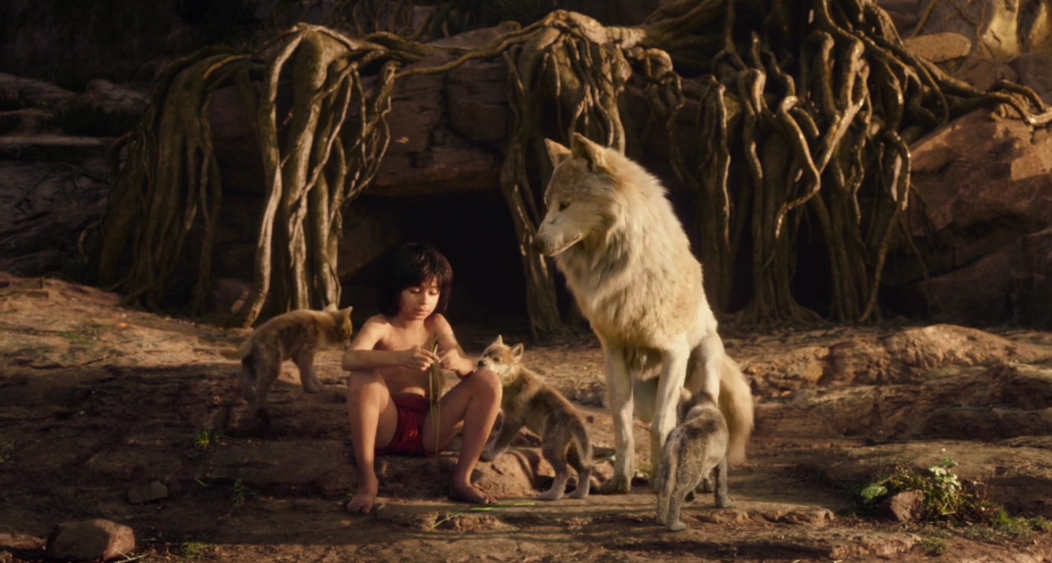 Jungle Book Kid Story Jungle Book Kid Story