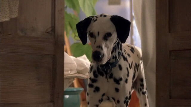 File:102-dalmatians-disneyscreencaps.com-1238.jpg