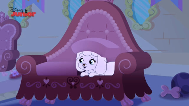 File:Pumpkin under the cushion.jpg