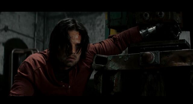 File:AntBucky.jpg