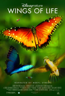 Disneynature-Wings-of-Life-2013-movie-poster.jpg