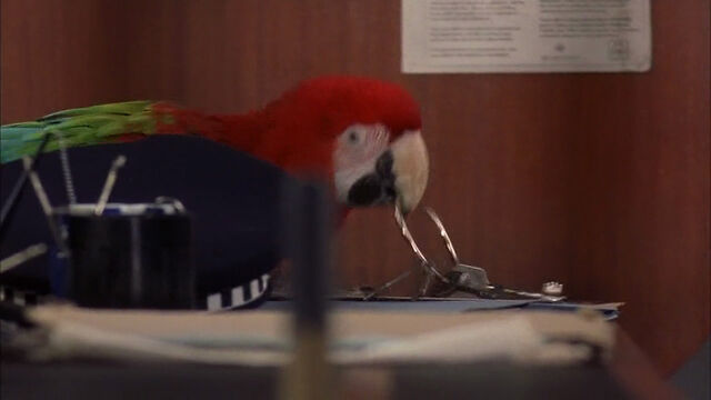 File:102-dalmatians-disneyscreencaps com-7520.jpg