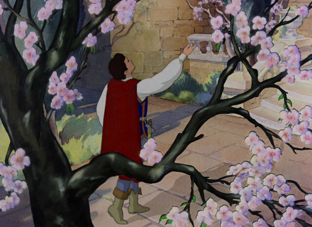 File:Snowwhite-disneyscreencaps com-639.jpg