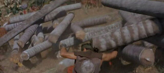File:Swiss-family-robinson-disneyscreencaps.com-13818.jpg