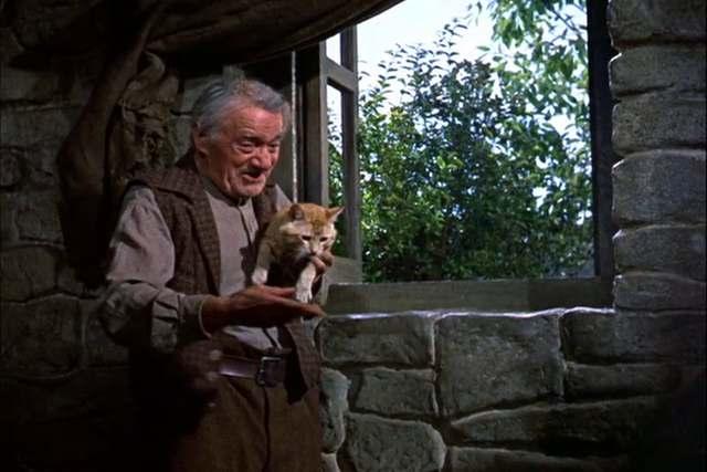 File:Darbycat.png