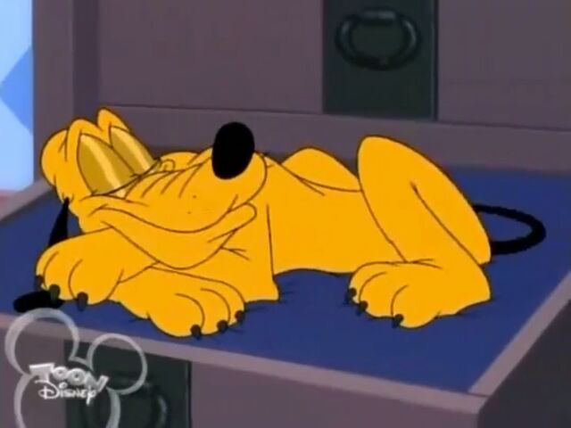 File:Pluto sleeping warmth.jpg