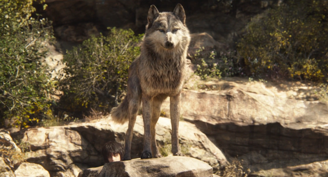 File:Jungle Book 2016 115.png