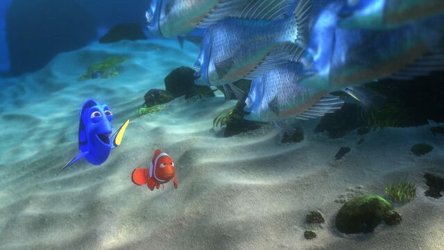 File:Finding-nemo-disneyscreencaps.com-4898.jpg
