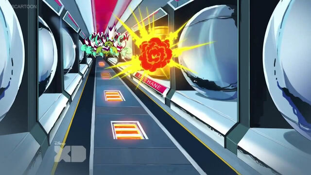 File:2SmellandBack - 779.jpg