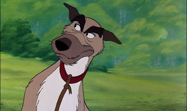 File:Fox-and-the-hound-disneyscreencaps.com-879.jpg