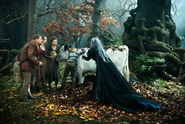 File:Into the Woods Film.jpg