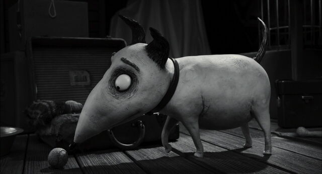 File:Frankenweenie-disneyscreencaps.com-297.jpg