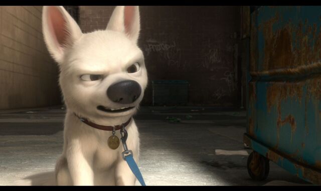 File:Bolt angry.jpeg