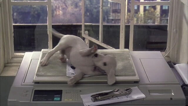 File:102-dalmatians-disneyscreencaps.com-2842.jpg